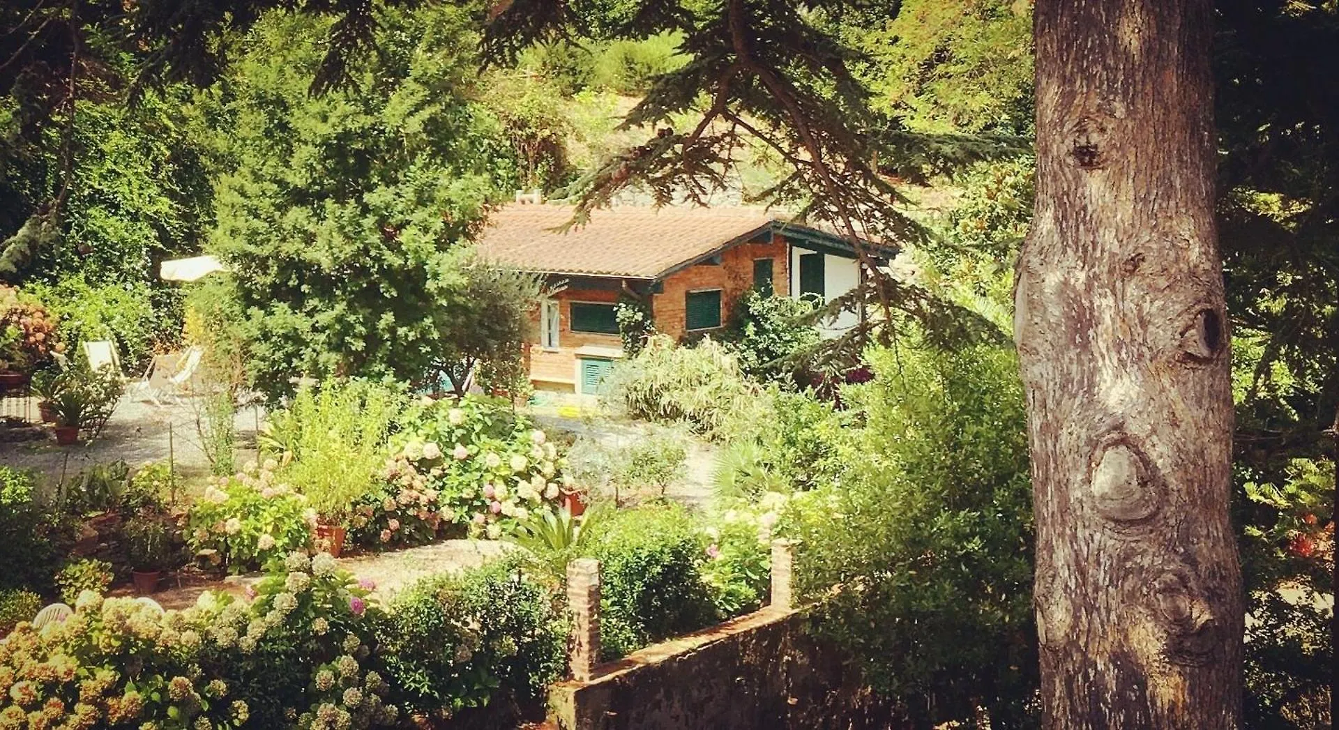Lo Sceriffo Delightful Villa In Dreamy Garden Monterosso al Mare