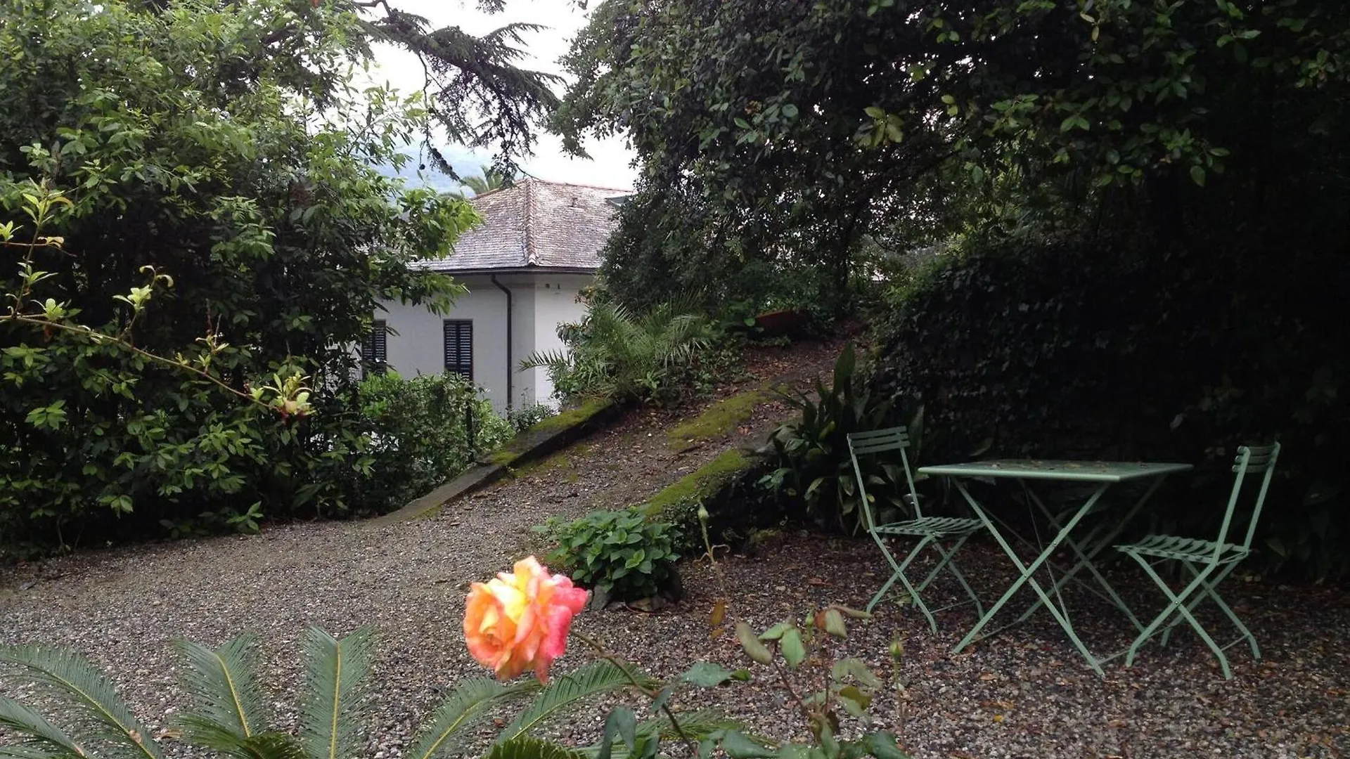 Lo Sceriffo Delightful Villa In Dreamy Garden 蒙特罗索阿尔马雷 意大利