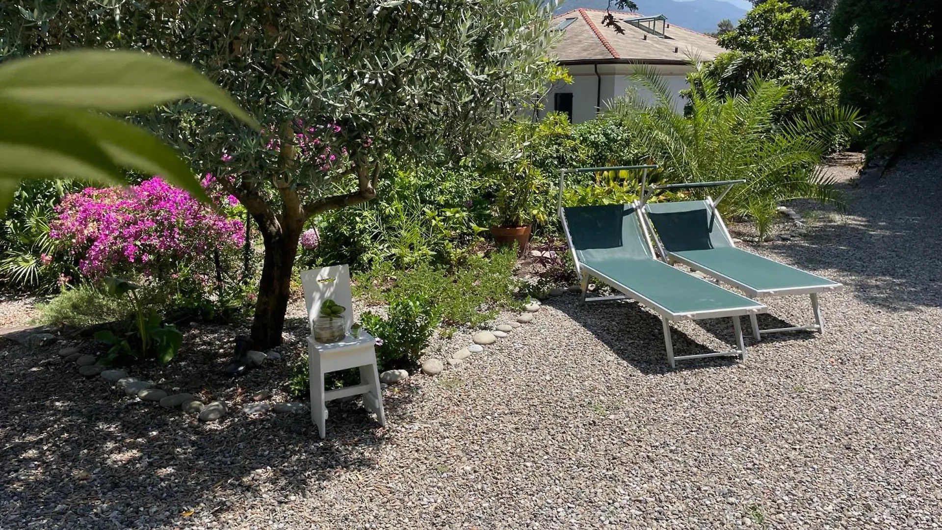 Lo Sceriffo Delightful Villa In Dreamy Garden 蒙特罗索阿尔马雷 0*,  意大利